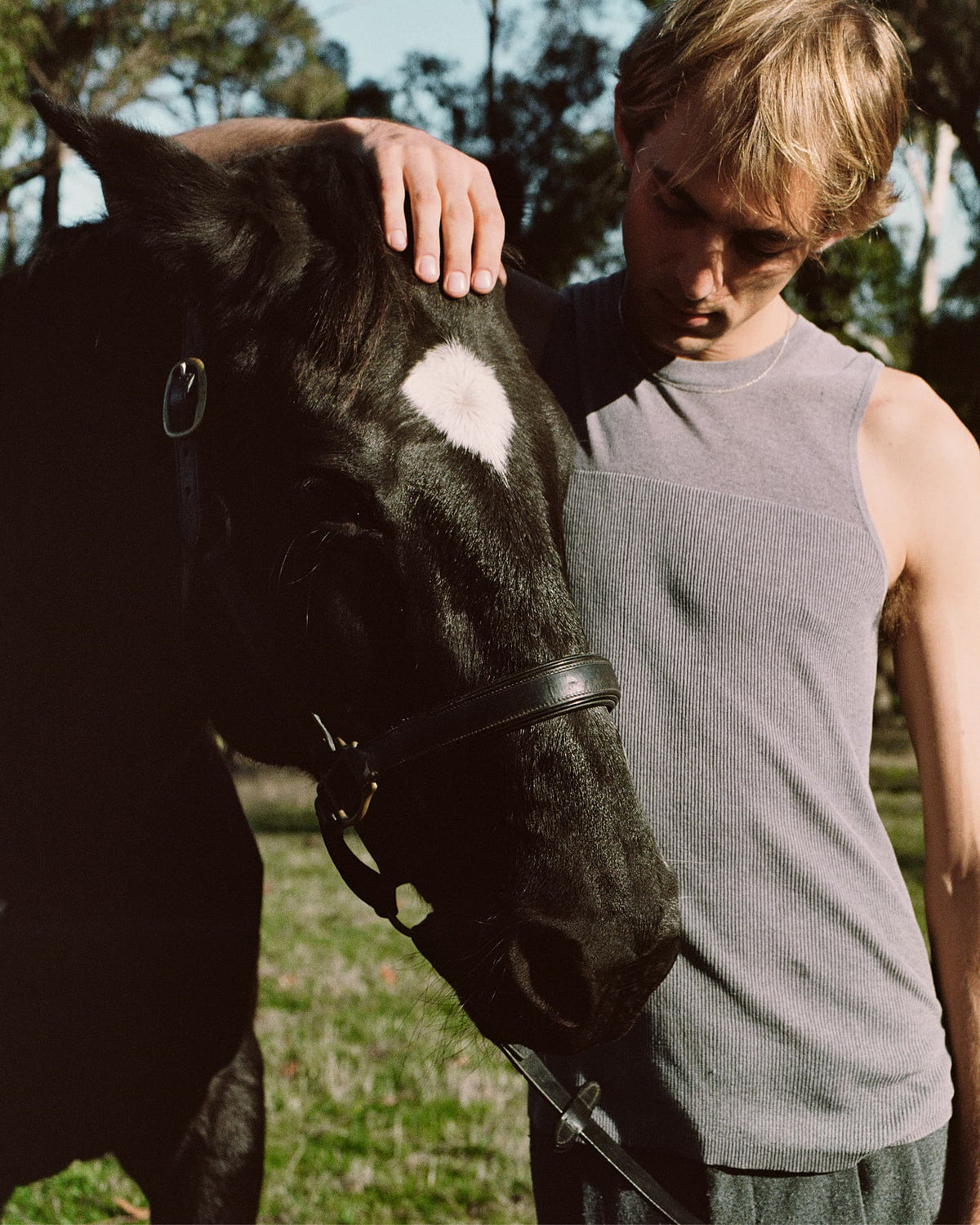 BAREBACK